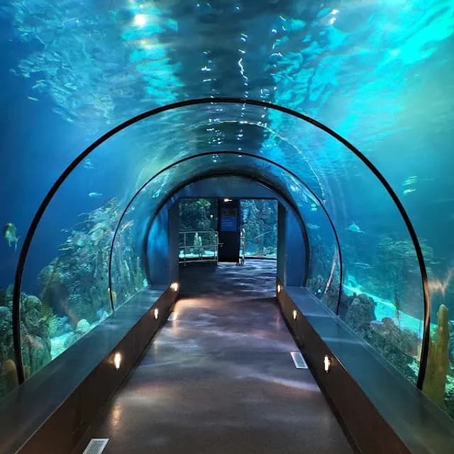 Moody Gardens