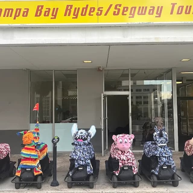 Downtown Tampa Bike Ride — 1 hour pre-cruise activity near Port Tampa Bay