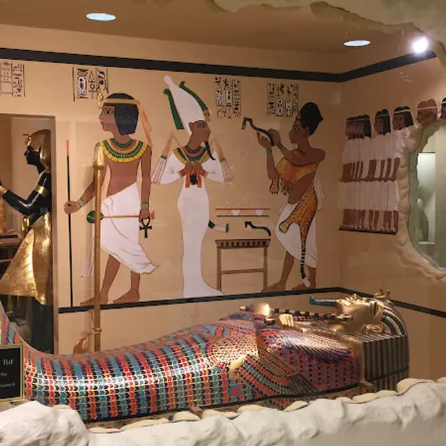 The Dinosaur Store & Museum of Dinosaurs and Ancient Cultures — 45 min pre-cruise activity near Port Canaveral