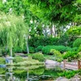 Earl Burns Miller Japanese Garden